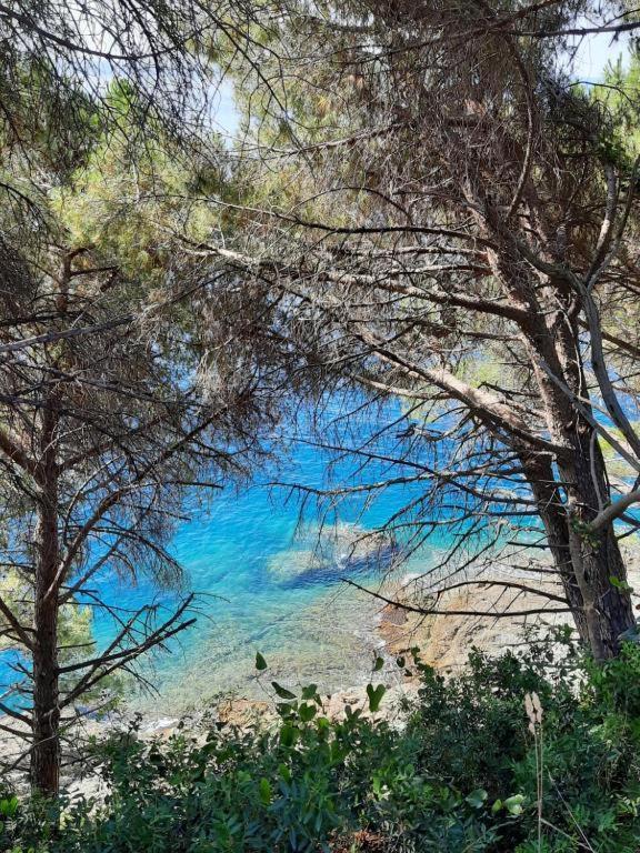 Appartamento Il Vicoletto Λα Σπέτσια Εξωτερικό φωτογραφία