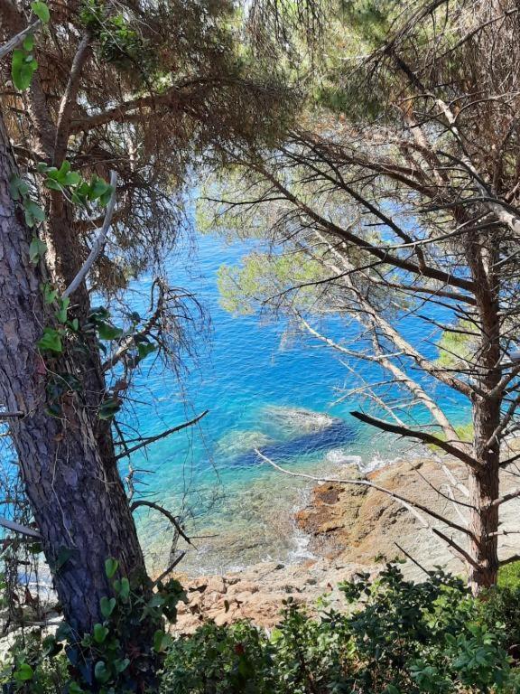 Appartamento Il Vicoletto Λα Σπέτσια Εξωτερικό φωτογραφία